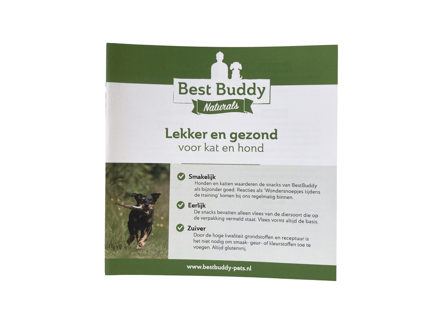 Broschüre Best Buddy Allgemein