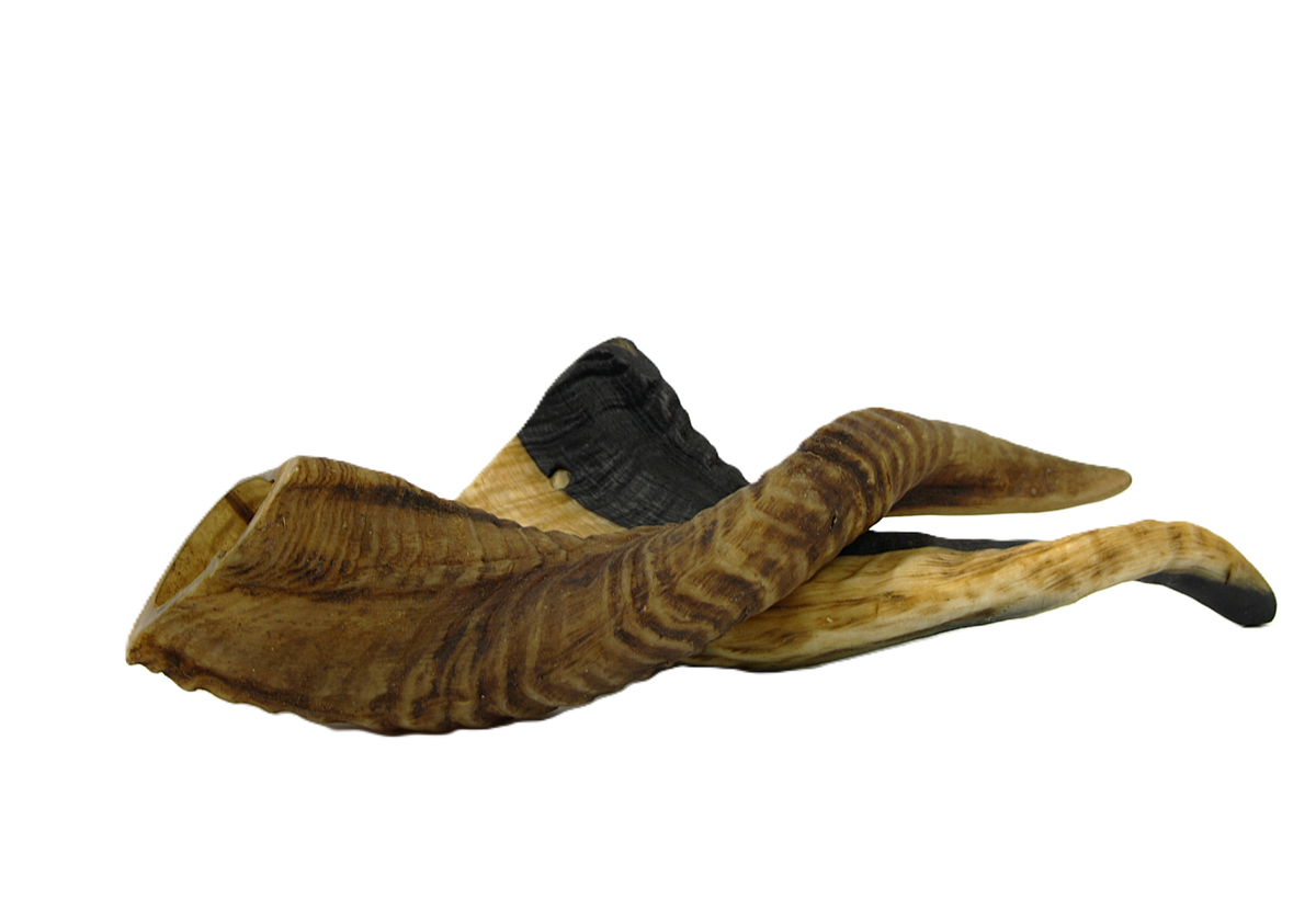 Lamshoorn