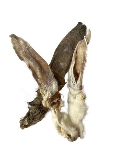 Konijnenoren