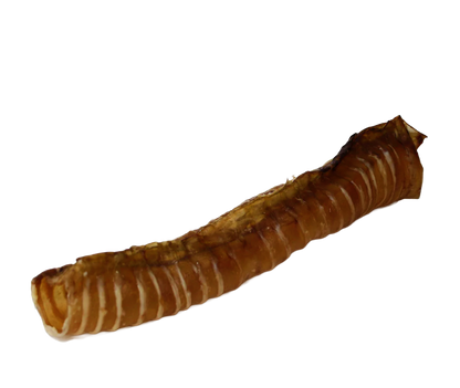Rinderluftröhre