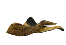 Lamshoorn