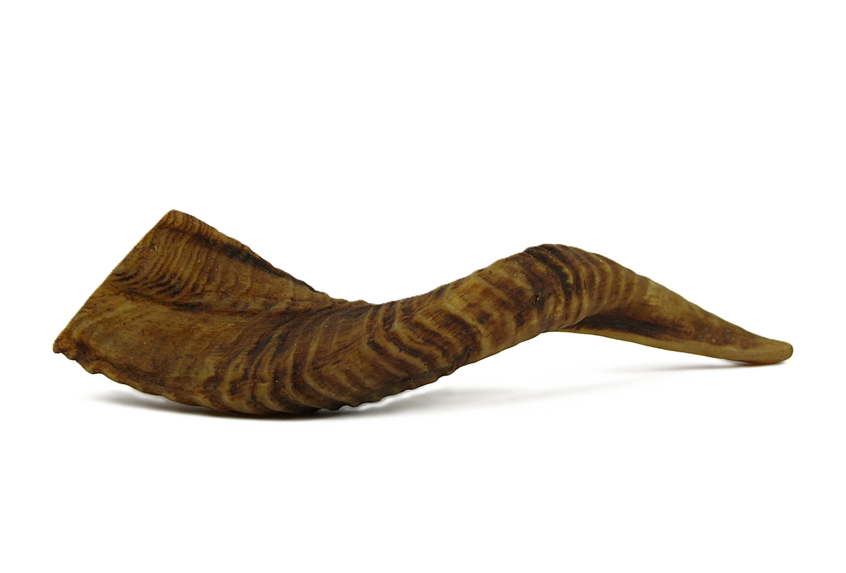 Lamshoorn