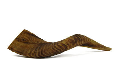 Lamshoorn
